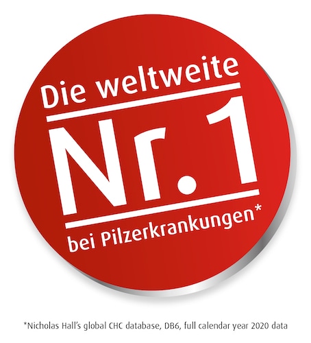 Die weltweite