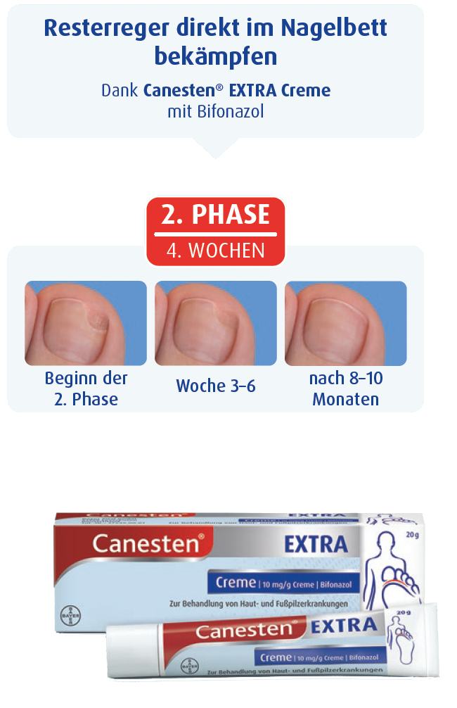 phase02